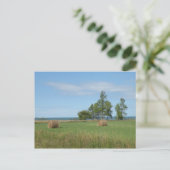 Carte postale Hay Field (Debout devant)