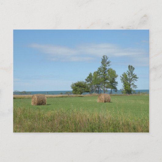 Carte postale Hay Field (Devant)