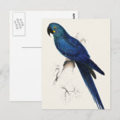 Carte Postale Hayacinthe Maccaw (Devant / Derrière)