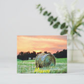 Carte Postale haybales au coucher du soleil (Debout devant)