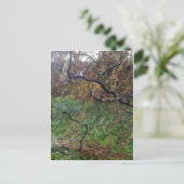 Carte Postale Hazel tordu (Debout devant)