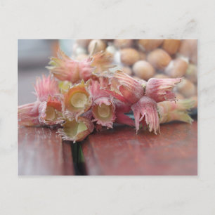 Carte Postale Hazelnuts.JPG