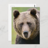 Carte Postale Hé, T'Ours (Devant / Derrière)