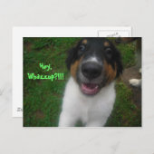 Carte Postale Hé, Whazzup ? ! ! ! (Devant / Derrière)