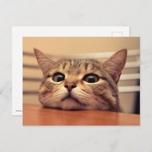 Carte Postale Head on (Devant / Derrière)