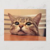 Carte Postale Head on (Devant)