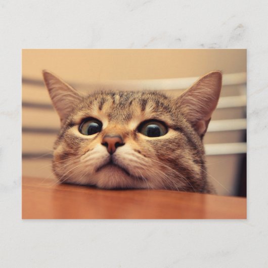 Carte Postale Head on (Devant)