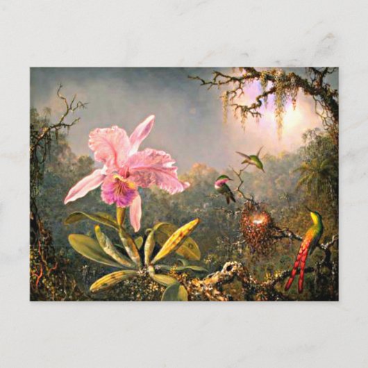 Carte Postale Heade - Orchidée Cattleya et trois colibris (Devant)