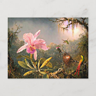 Carte Postale Heade - Orchidée de Cattleya et trois colibris