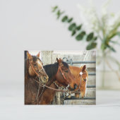 Carte Postale Heads Bridled (Debout devant)