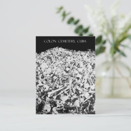 Carte Postale Heap of Bones in the Colon Cemetery, Cuba (Debout devant)