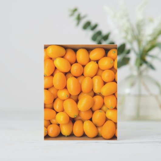 Carte Postale Heap of orange kumquats dans cardboard box (Debout devant)