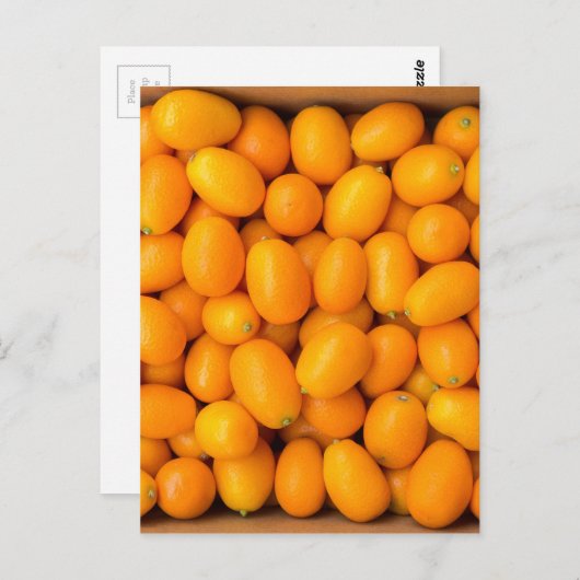 Carte Postale Heap of orange kumquats dans cardboard box (Devant / Derrière)