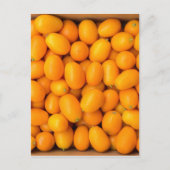 Carte Postale Heap of orange kumquats dans cardboard box (Devant)