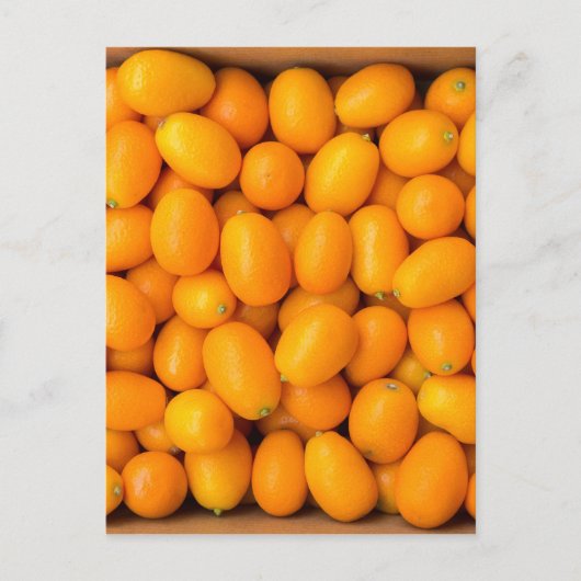 Carte Postale Heap of orange kumquats dans cardboard box (Devant)