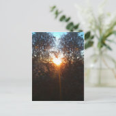 Carte Postale heartbeamdec2010 (Debout devant)