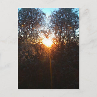 Carte Postale heartbeamdec2010