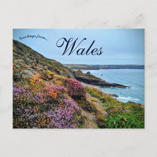 Carte Postale Heather in  Pembrokeshire Wales (Devant)