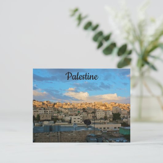 Carte Postale Hébron Rive occidentale Palestine (Debout devant)