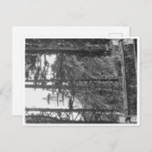 Carte postale Heceta Head Lighthouse b&w (Devant / Derrière)