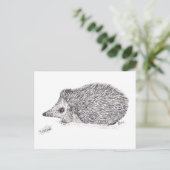 CARTE POSTALE HEDGEHOG (Debout devant)
