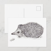 CARTE POSTALE HEDGEHOG (Devant / Derrière)