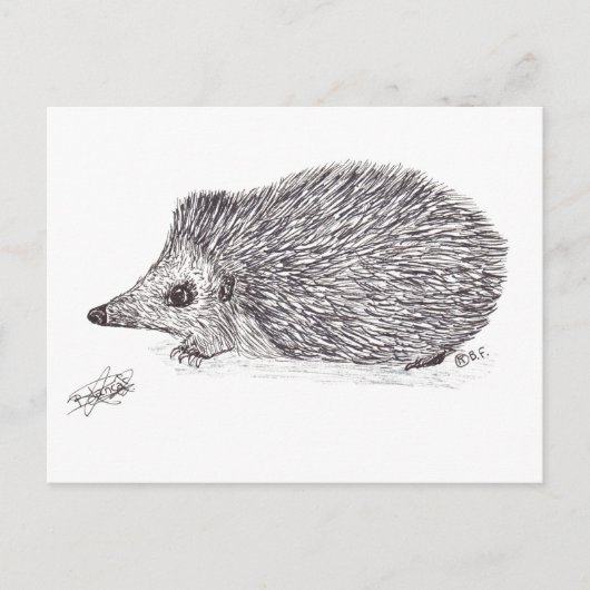 CARTE POSTALE HEDGEHOG (Devant)