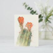 Carte Postale Hedgehog Cactus par Margaret Armstrong (Debout devant)