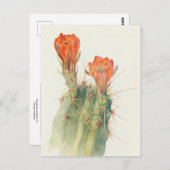 Carte Postale Hedgehog Cactus par Margaret Armstrong (Devant / Derrière)