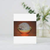 Carte Postale Hedgehog Sundae (Debout devant)