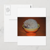 Carte Postale Hedgehog Sundae (Devant / Derrière)