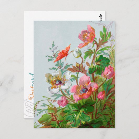 Carte postale Hedgerow Garden (Devant / Derrière)