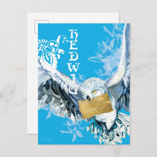 Carte Postale Hedwig (Devant / Derrière)