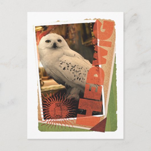 Carte Postale Hedwig 1 (Devant)
