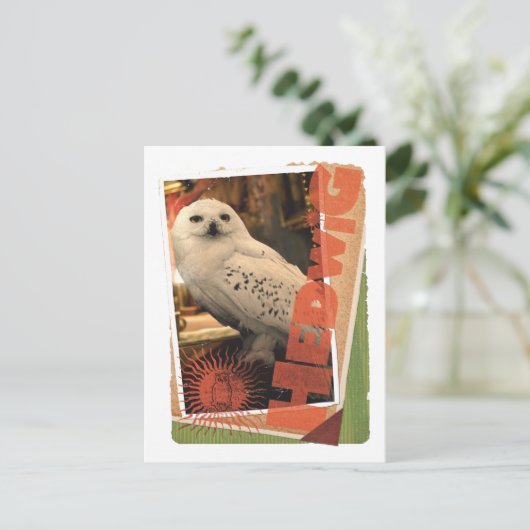 Carte Postale Hedwig 1 (Debout devant)