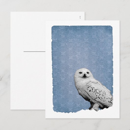 Carte Postale Hedwig 2 (Devant / Derrière)