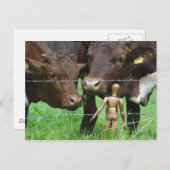 Carte Postale Hein ? (Devant / Derrière)