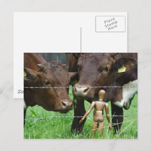 Carte Postale Hein ? (Devant / Derrière)