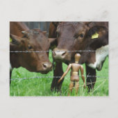 Carte Postale Hein ? (Devant)