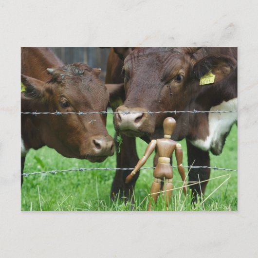 Carte Postale Hein ? (Devant)