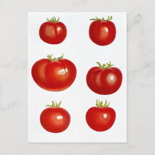 Carte postale Heirloom Garden Tomates Farmers Mark