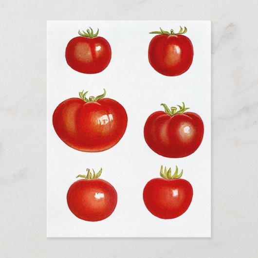 Carte postale Heirloom Garden Tomates Farmers Mark (Devant)