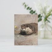 Carte Postale Helaine's Otter (Debout devant)