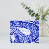 Carte Postale Helicobacter Pylori (Debout devant)