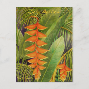 Carte Postale Heliconia