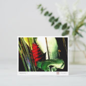 Carte Postale Heliconia no 1 (Debout devant)
