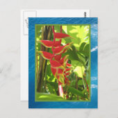 Carte Postale Heliconia rostrata (Devant / Derrière)