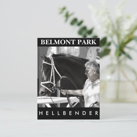 Carte Postale Hellbender par Daredevil (Debout devant)