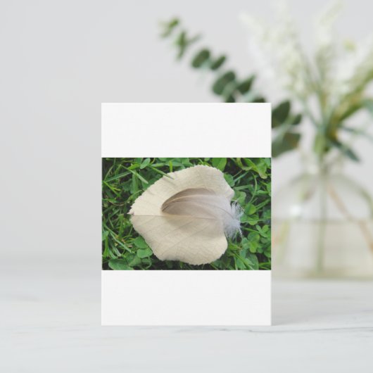 Carte Postale Hellbraune Feder auf hellbeigem Blatt (Debout devant)