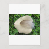 Carte Postale Hellbraune Feder auf hellbeigem Blatt (Devant)